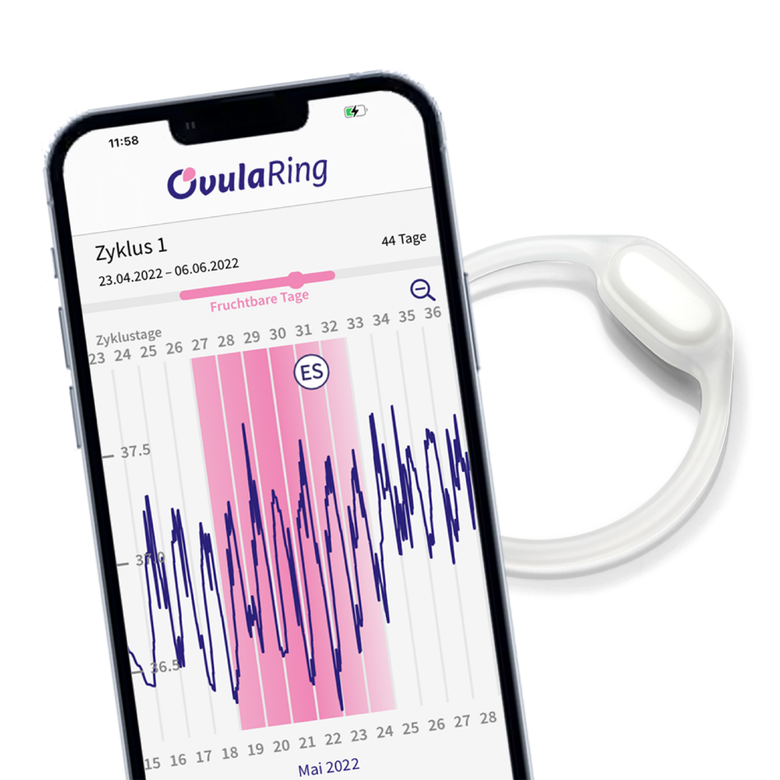 OvulaRing – Bild 4